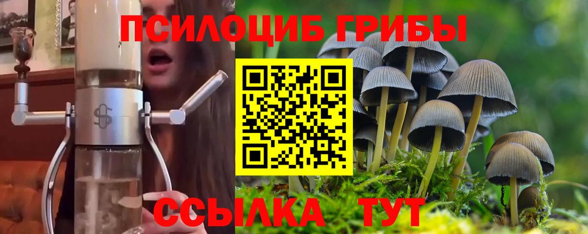 Псилоцибиновые грибы мицелий  Вход с VPN  Беслан 